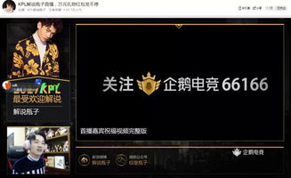 kpl解說瓶子什么星座